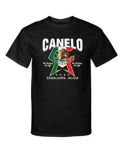 Canelo Alvarez Mexican Flag Champion Boxer Boxing Graphic Tee Shirt