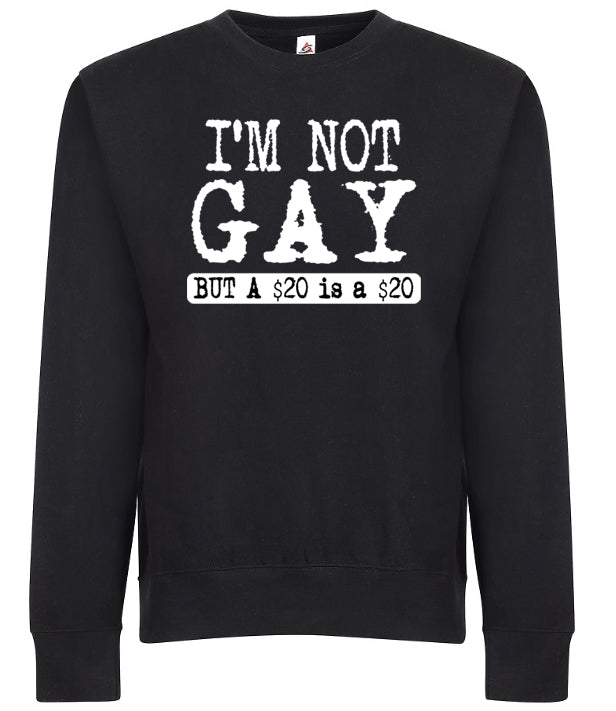 Im Not Gay but A 20 is a 20 Adult Humor Fashion Graphic Tee Shirt